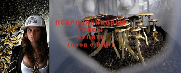 герыч Алагир