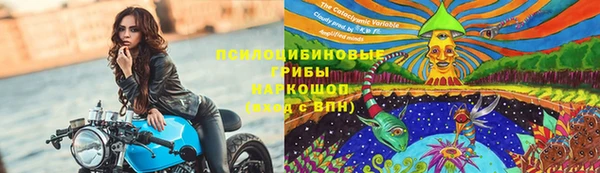 герыч Няндома